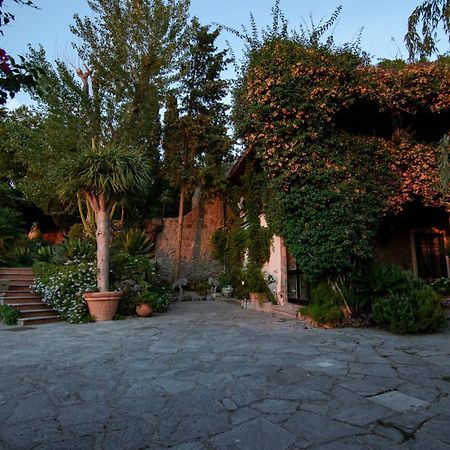 Villa Le Palme Forio di Ischia Extérieur photo