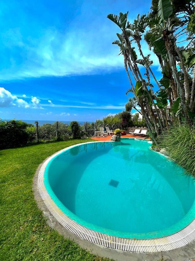 Villa Le Palme Forio di Ischia Extérieur photo