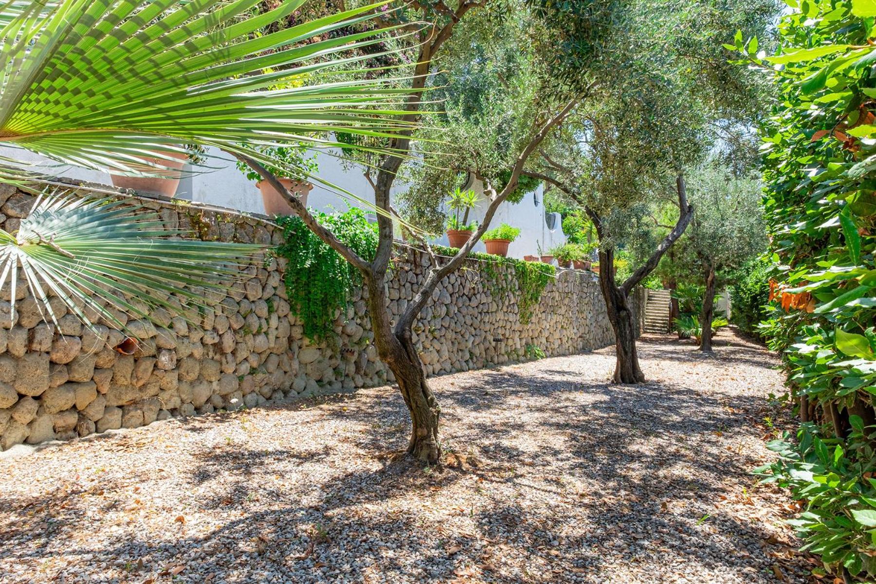 Villa Le Palme Forio di Ischia Extérieur photo