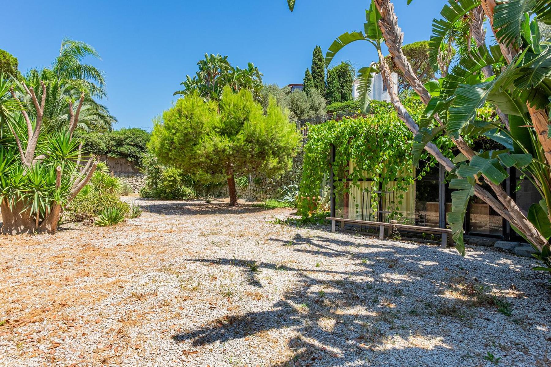 Villa Le Palme Forio di Ischia Extérieur photo